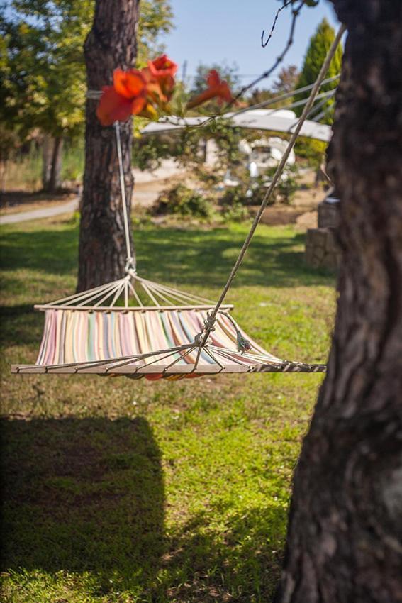 Zennova #20 Dream Nest Daire Vourvourou Dış mekan fotoğraf